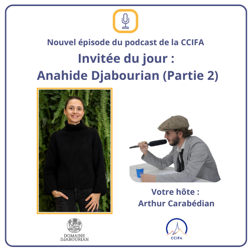 Episode 4 - Interview avec Anahide Djabourian (2ème partie)
